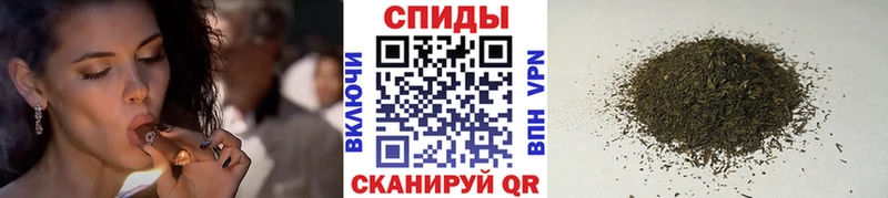 БУТИРАТ BDO 33% Ардатов