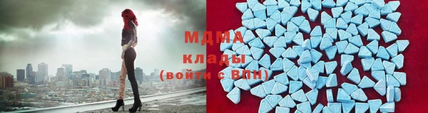 гидра Покачи