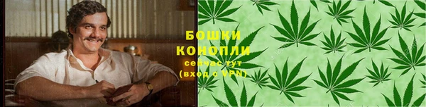 ГАЛЛЮЦИНОГЕННЫЕ ГРИБЫ Алзамай